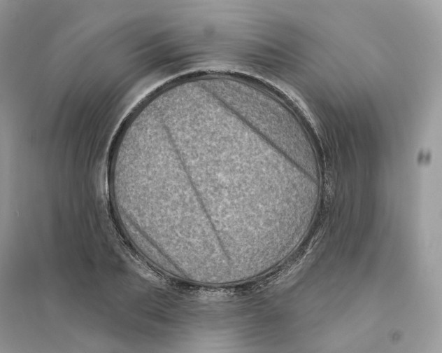 X0000094460887200711291719