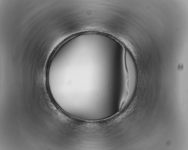 X0000094460888200711291719