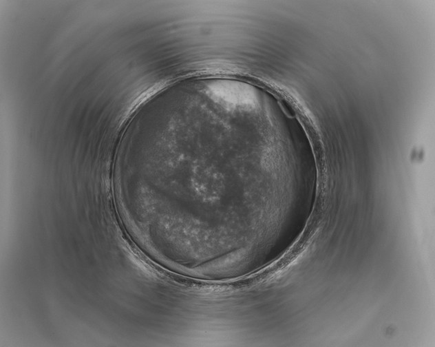 X0000094460889200711291719