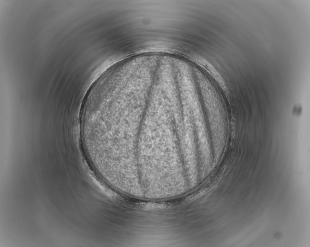 X0000094460890200711291719