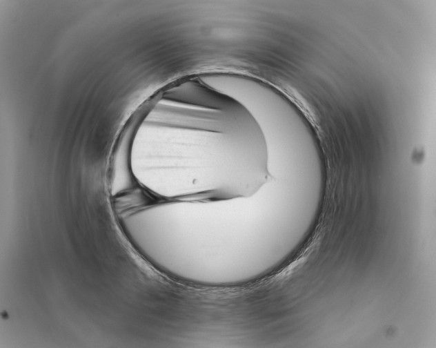 X0000094460893200711291719