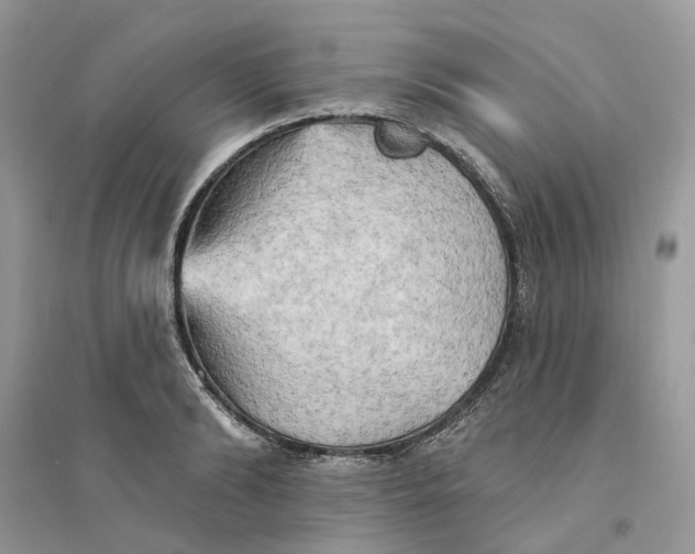 X0000094460894200711291719