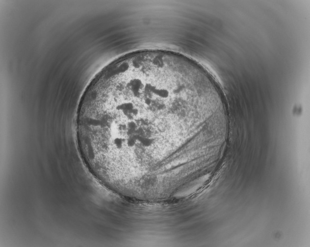 X0000094460895200711291719