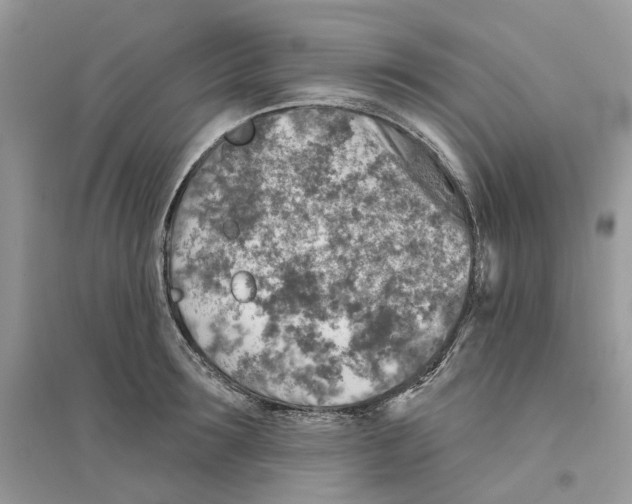 X0000094460899200711291719