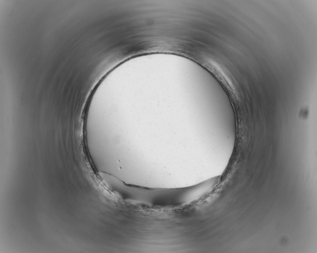 X0000094460900200711291719