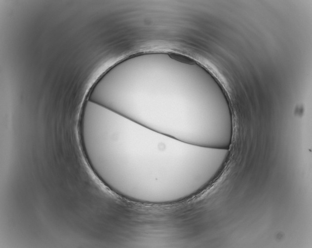 X0000094460901200711291719