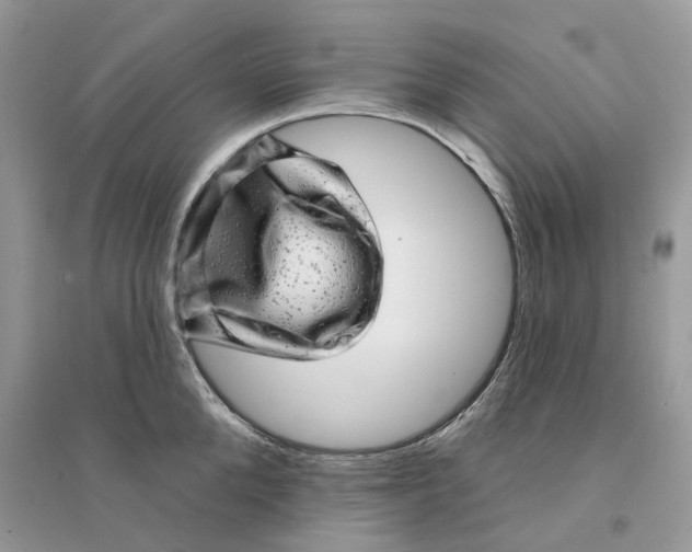 X0000094460904200711291719