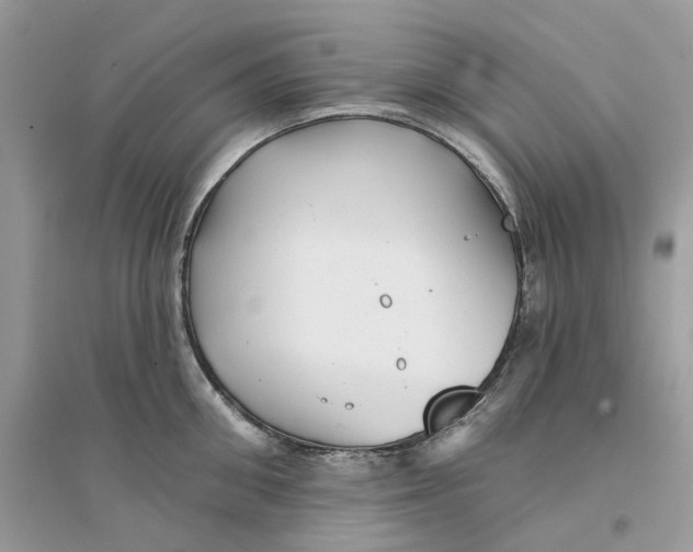 X0000094460906200711291719