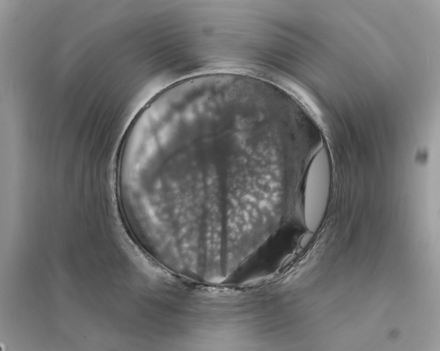 X0000094460907200711291719