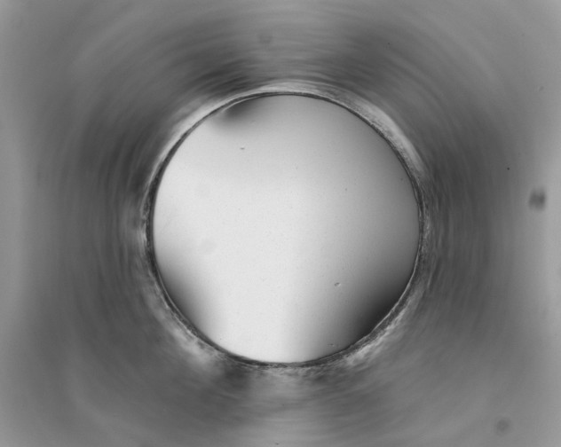 X0000094460908200711291719