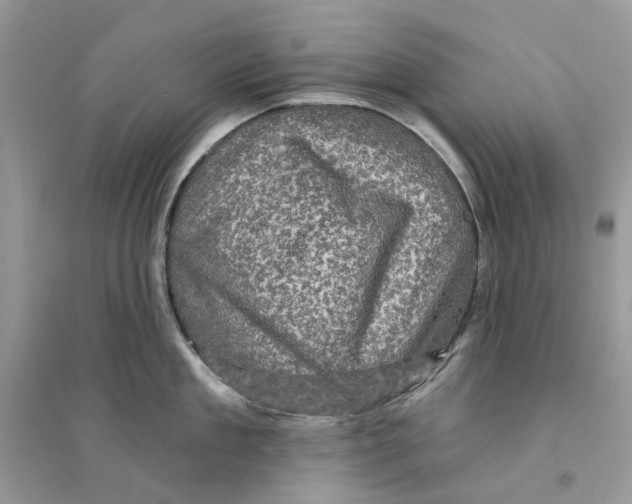 X0000094460909200711291719