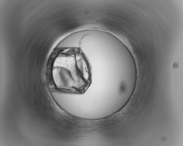 X0000094460912200711291719