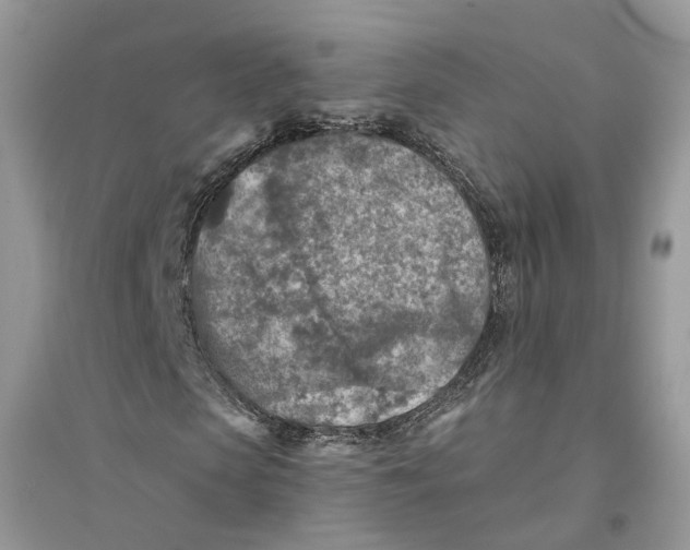 X0000094460913200711291718