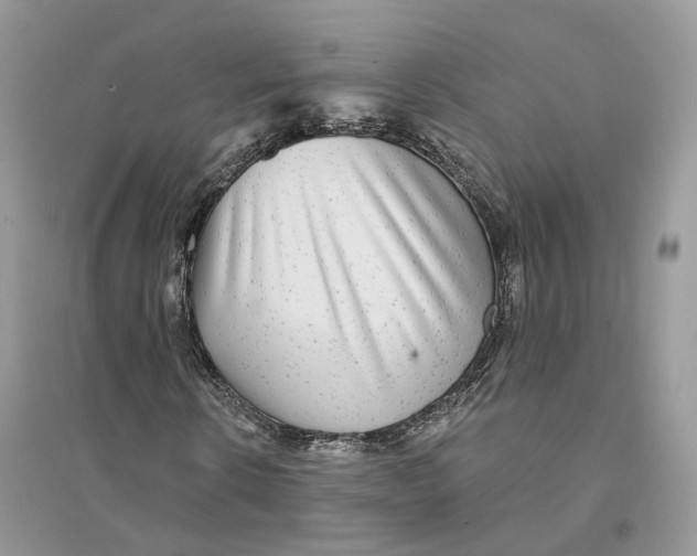 X0000094460914200711291718