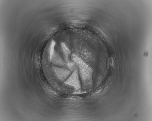 X0000094460915200711291718