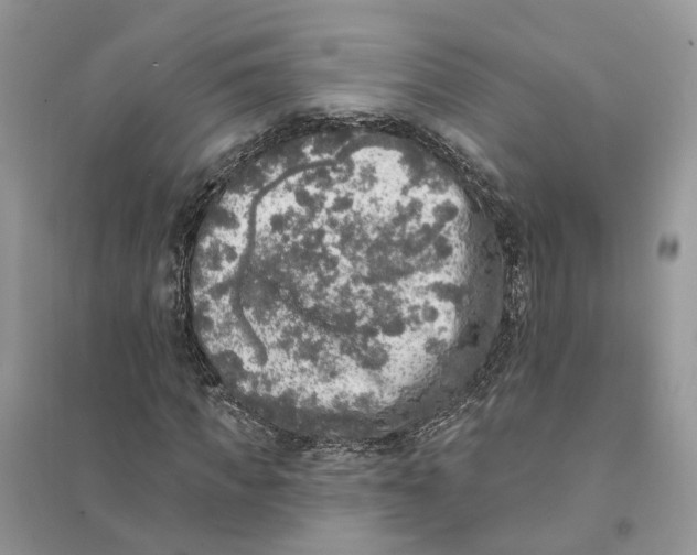 X0000094460917200711291718