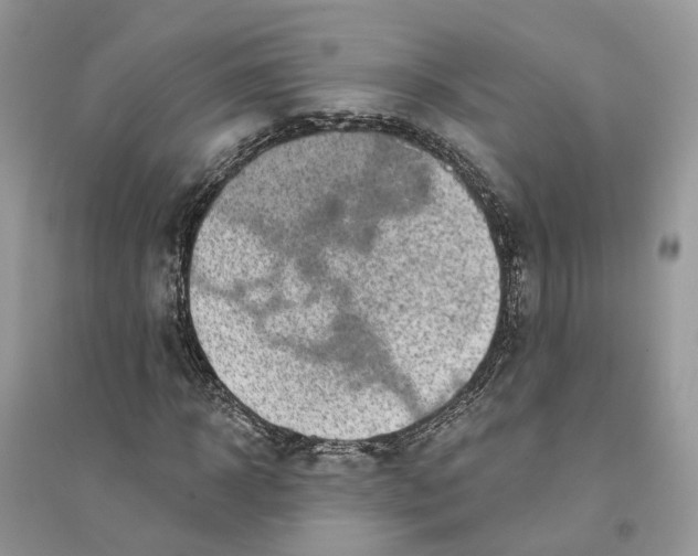 X0000094460918200711291718