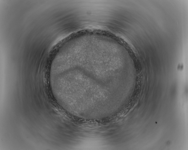 X0000094460919200711291718