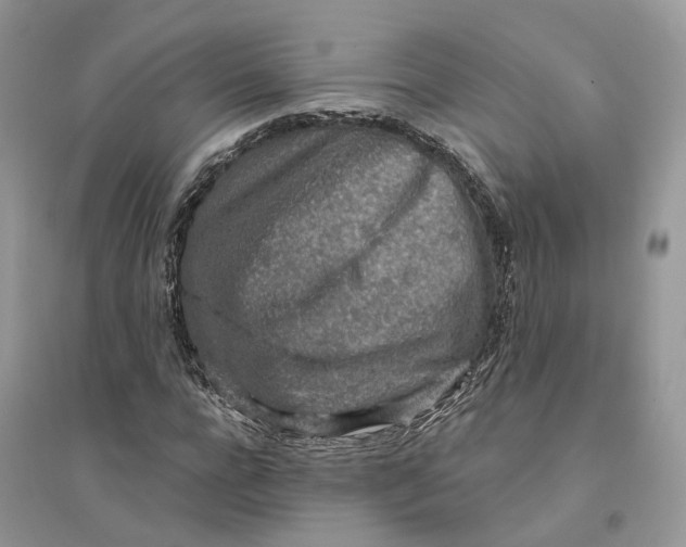 X0000094460920200711291718