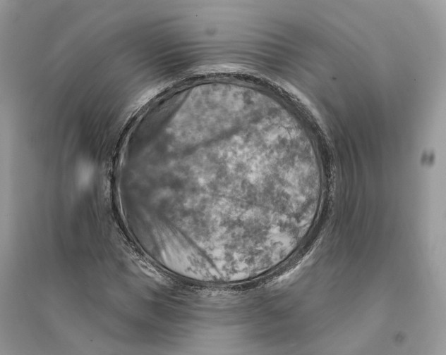 X0000094460921200711291718