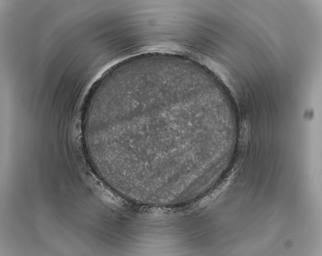 X0000094460923200711291718