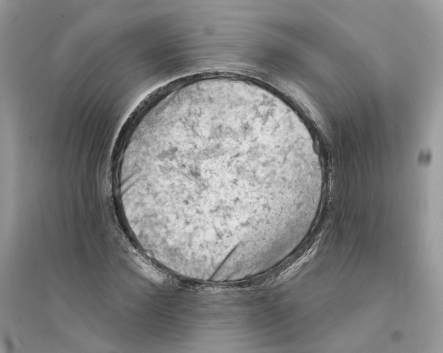 X0000094460924200711291718