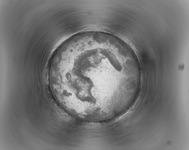 X0000094460925200711291718