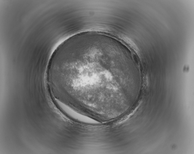 X0000094460928200711291718