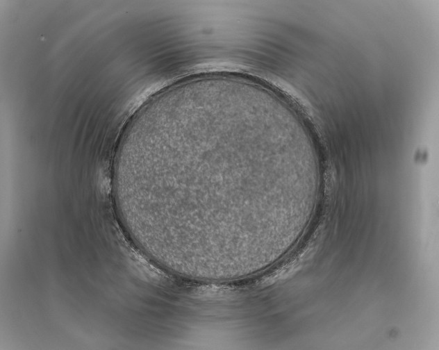 X0000094460929200711291718