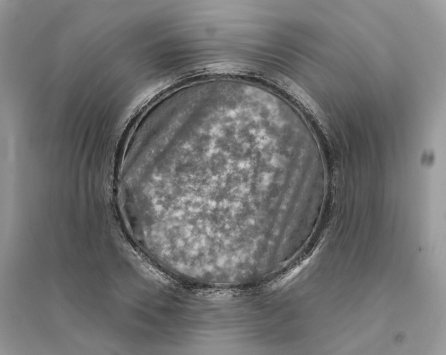 X0000094460930200711291718