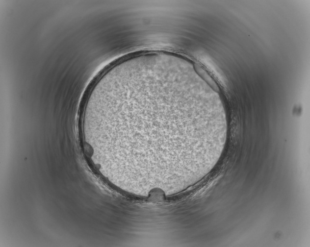 X0000094460932200711291718