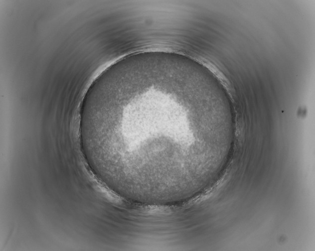 X0000094460933200711291718