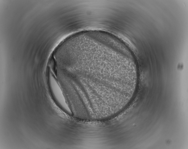 X0000094460934200711291718