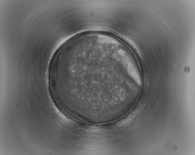 X0000094460935200711291718