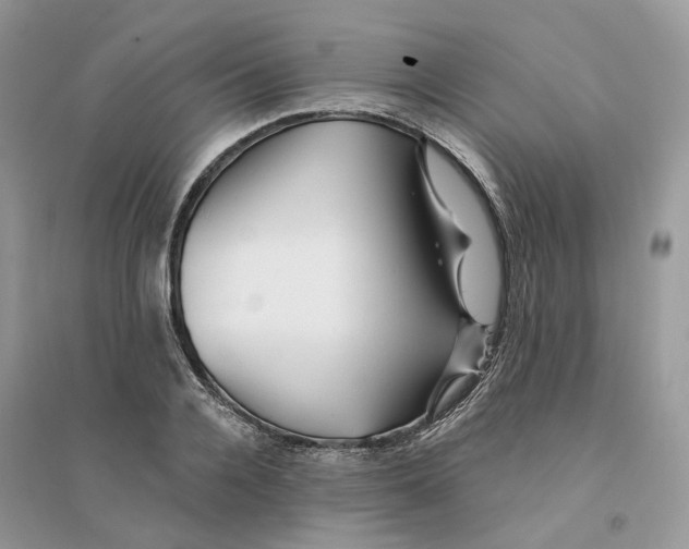 X0000094460936200711291718