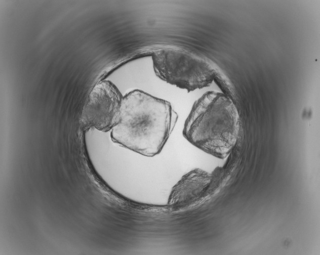 X0000094460937200711291718