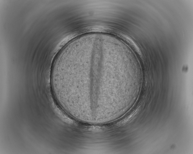 X0000094460938200711291718