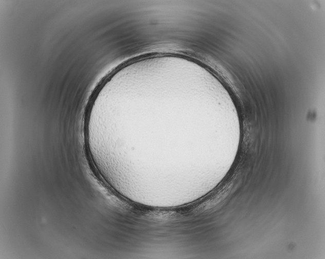 X0000094460939200711291718