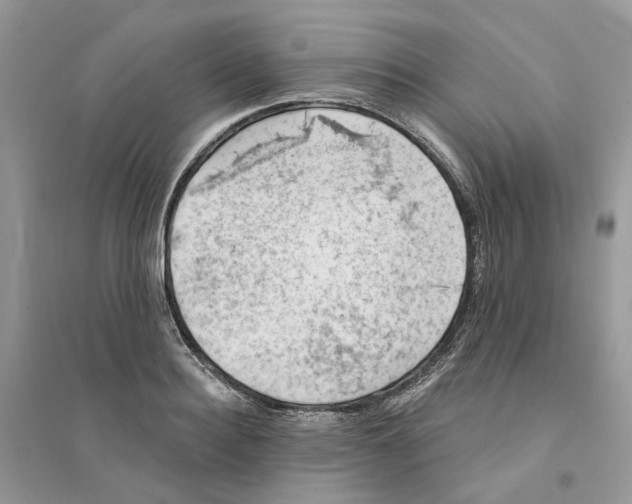 X0000094460940200711291718