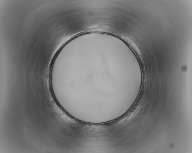 X0000094460941200711291718