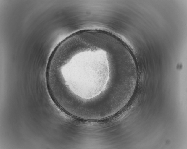 X0000094460943200711291718