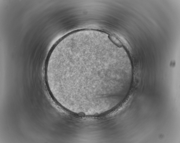 X0000094460944200711291719