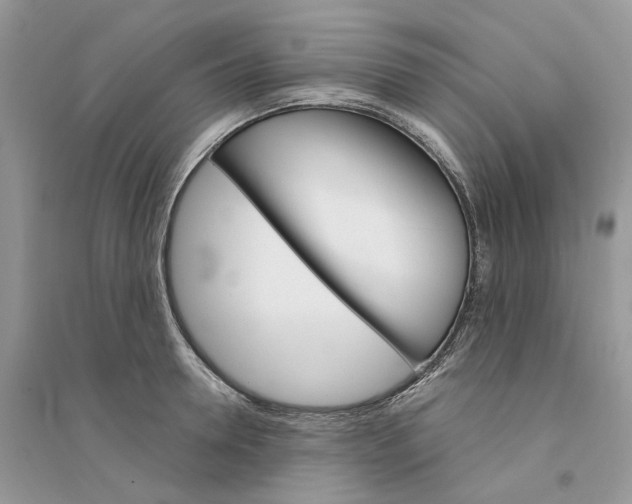 X0000094460946200711291719