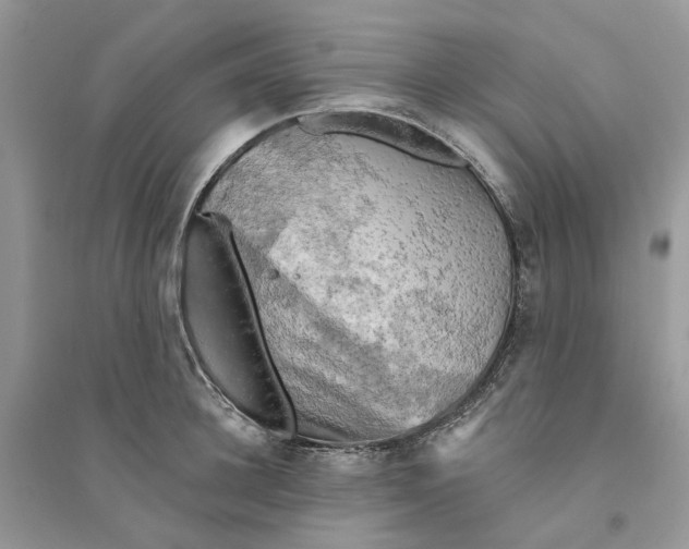 X0000094460948200711291719