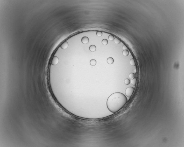 X0000094460949200711291719