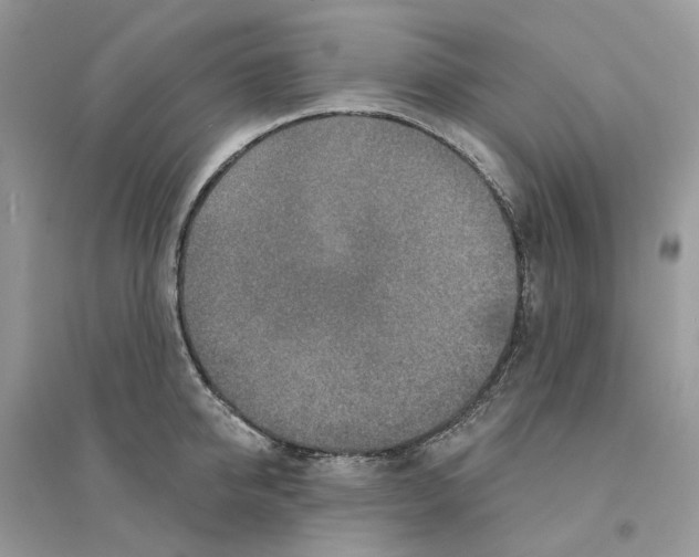 X0000094460950200711291719