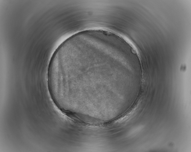 X0000094460951200711291719