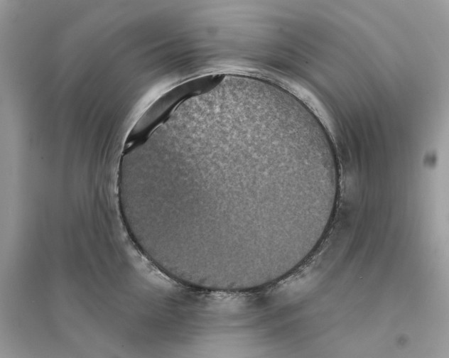 X0000094460954200711291719