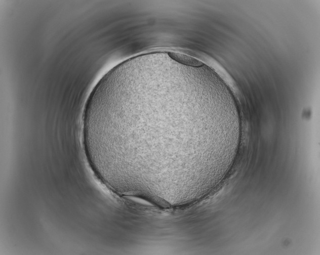 X0000094460955200711291719