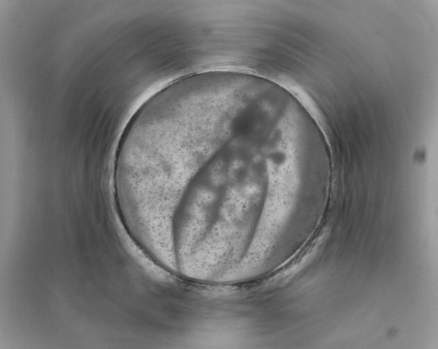 X0000094460957200711291719